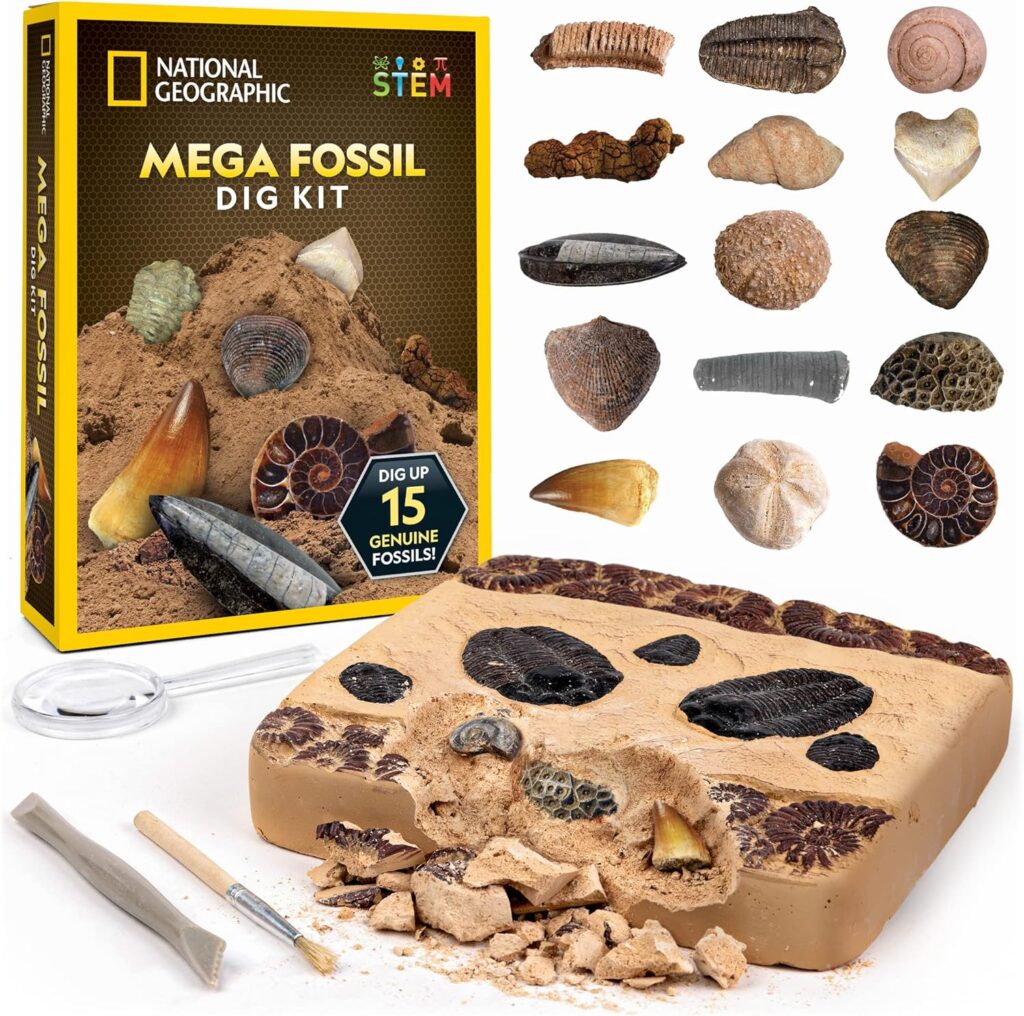 National Geographic Mega Fossil Dig Kit