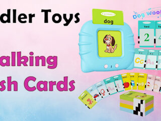 Toddler Toys Talking Flash Cards