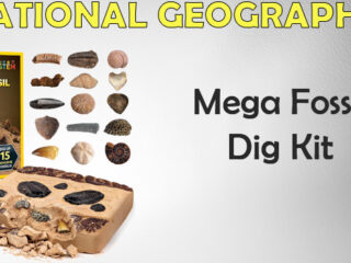 National Geographic Mega Fossil Dig Kit